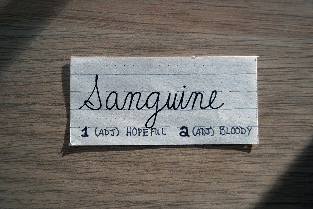 Basic Hand Lettering - Sanguine