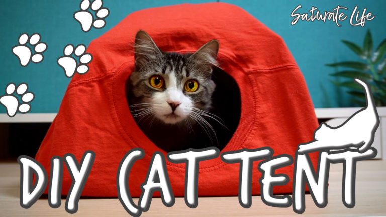 DIY Cat Tent - Saturate Life
