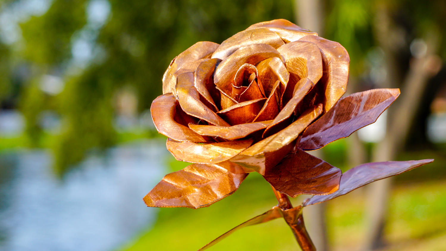 Handmade Copper Rose A DIY Valentine’s gift Saturate Life