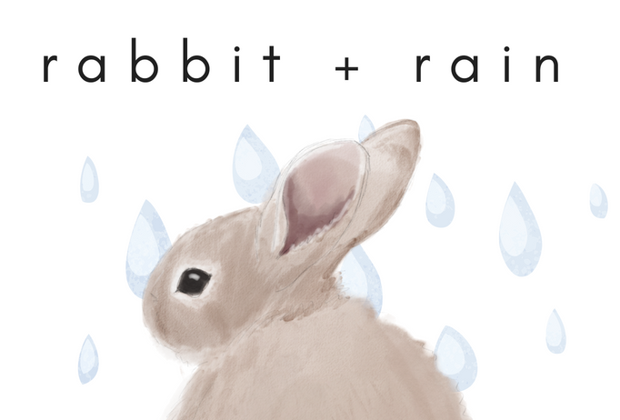 Rabbit+Rain+Saturate Life